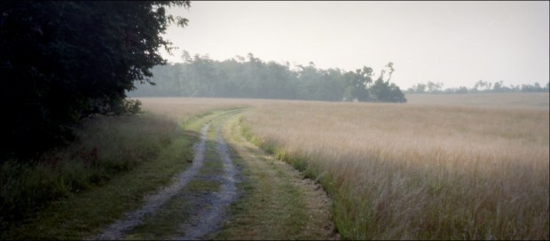Robinson Farm, Manassas Battlefield, VA. 2011