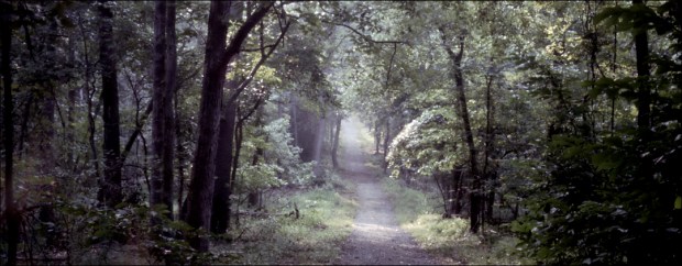 Trail to the Bull Run Creek Manassas Battlefield, Va 2011