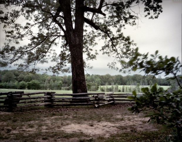 The Hornets Nest or Sunken Road at Shiloh.  Seen of intense fighting in 1862.