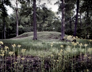 Native American ceremonial mounds on the Battlefield at Shiloh