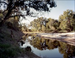Little Bayou Pierre near Port Gibson, MS.
