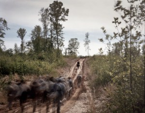 The site of the reenactment of the wounding of Stonewall Jackson