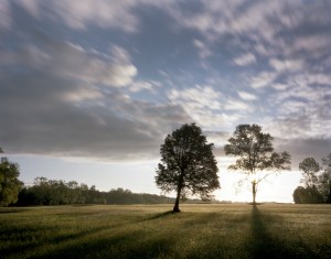 Fairview at sunrise on the Battlefield at Chancellorsville, Va 2013.