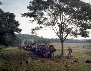 Confederate troops form-up at the base of "Culps Hill". 2013