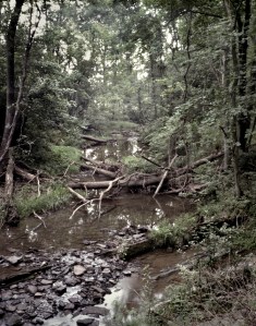 Willoughby Run, McPherson's Ridge, Gettysburg, Pa 2013