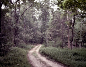 Dirt road through the wilderness at Chickamauga, Ga 2013.