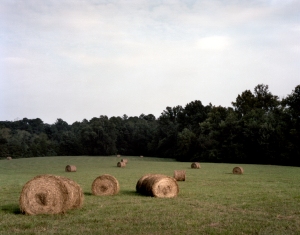Hay bales in Viniard Field on the Battlefield at Chickamauga, Ga 2013