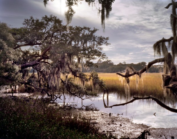 Swamps and salt marshes surround Boone Hall Plantation in Mount Pleasant, SC 2013