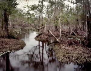 The Chickahominy River, Va 2014