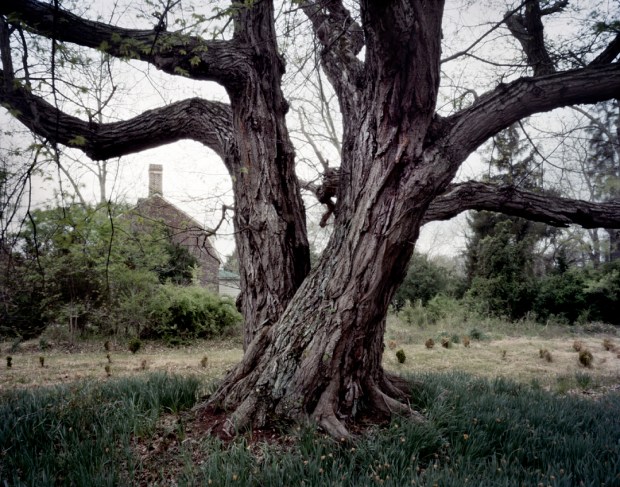 The Shelton House and farm was the scene of the fighting in the Battle of Totopotomoy Creek in  May 1864