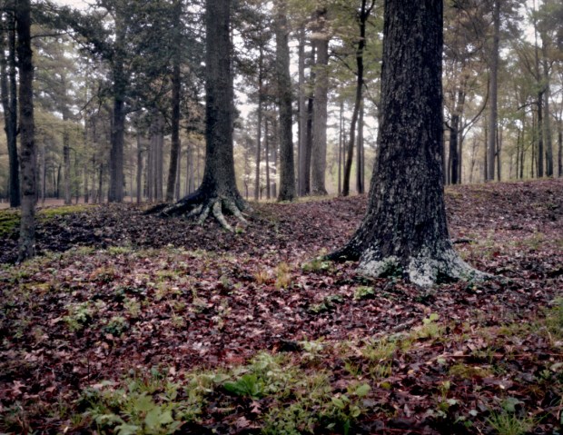 Confederate trenches at Cold Harbor 2014