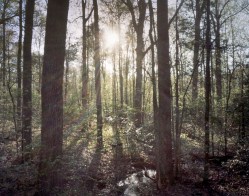 The Wilderness Battlefield 2014