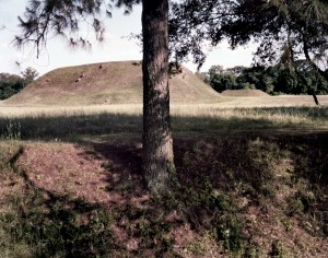 Etowah Indian Mounds