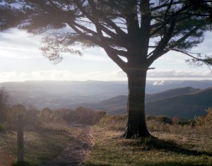 The Luray Valley from Shenandoah National Park
