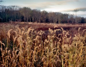 The 3rd Winchester Battlefield 2014