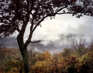 Above the clouds in Shenandoah National Park