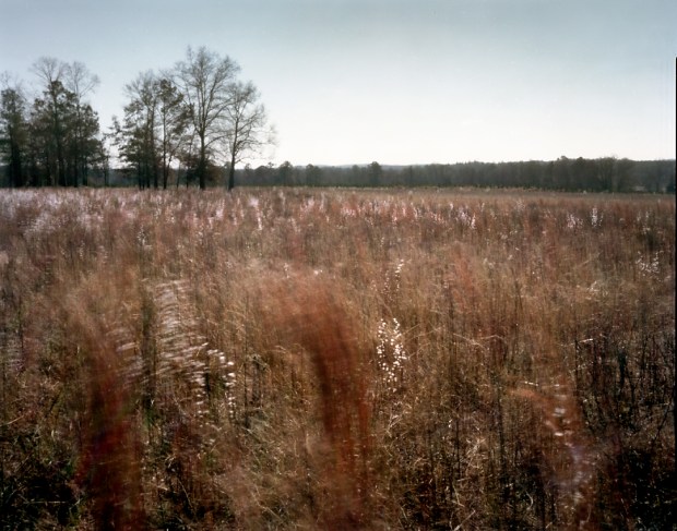The Battlefield at Griswoldville, Georgia 2014
