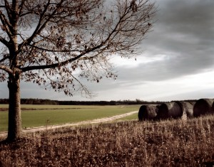 Riddleville, Georgia 2014