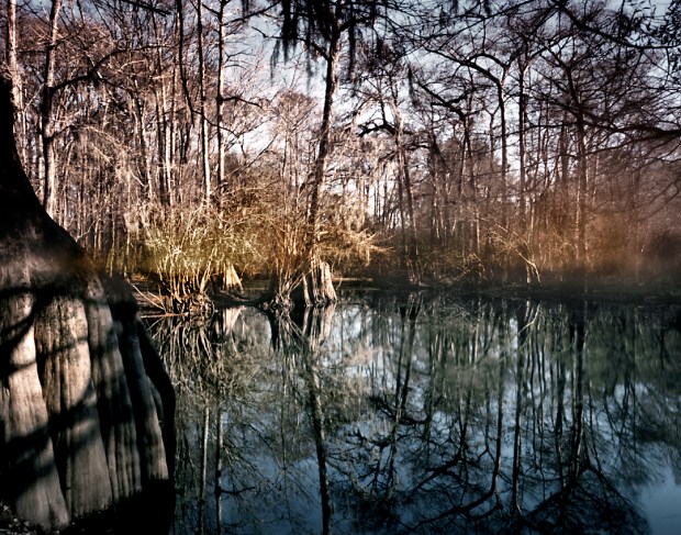 Ebenezer Creek, Springfield, Georgia 2014