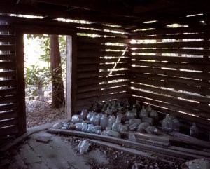 Slave cabin with empty moonshine bottles, Sylvania, Ga 2014