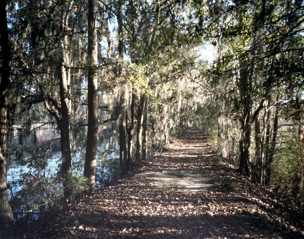 This elevated road between old rice paddies was used by Union troops in the brief Battle of Shaw's Dam in 1864. The "Union Causeway" is now part of a nature trail on the grounds of the Savannah Christian Preparatory School in Savannah, Ga