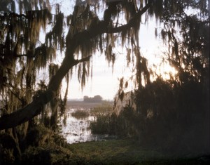 Savannah Wildlife Refuge