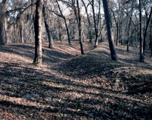 Confederate earthworks at River's bridge Battlefield