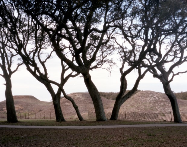 The earthen walls of Fort Fisher in Wilmington, NC