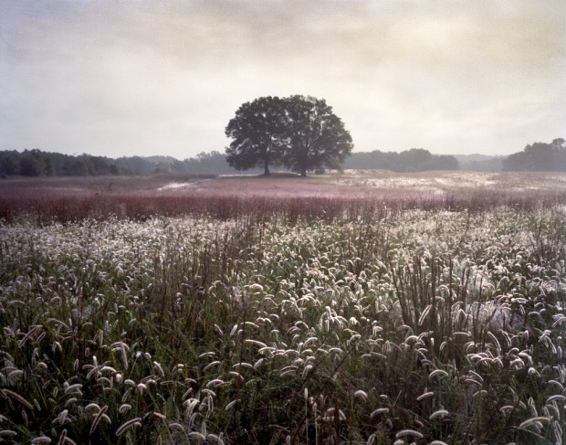 Fort Gregg in the distance was the last Confederate strong hold at Petersburg 