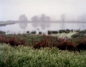 Morning fog in Rice , Virginia 2015