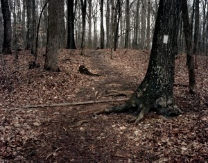 The worn path to Lee's Last Bivouac site at Appomattox, Va