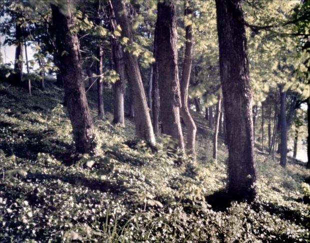 Pittsburg Landing on the Tennessee River was the Union base of supply during the Battle of Shiloh - 2012