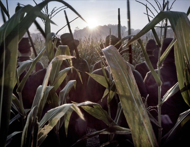 Black Hats in the Cornfield on the 150th anniversary of the Battle of Antietam